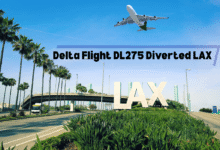 Delta Flight DL275 Diverted LAX