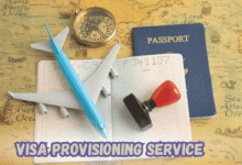 Visa Provisioning Service