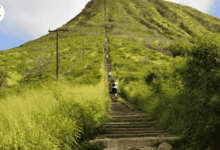 Best Hikes in Oahu