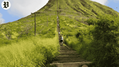 Best Hikes in Oahu