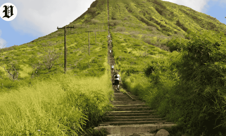 Best Hikes in Oahu
