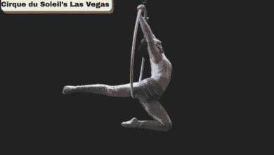Cirque du Soleil’s Las Vegas