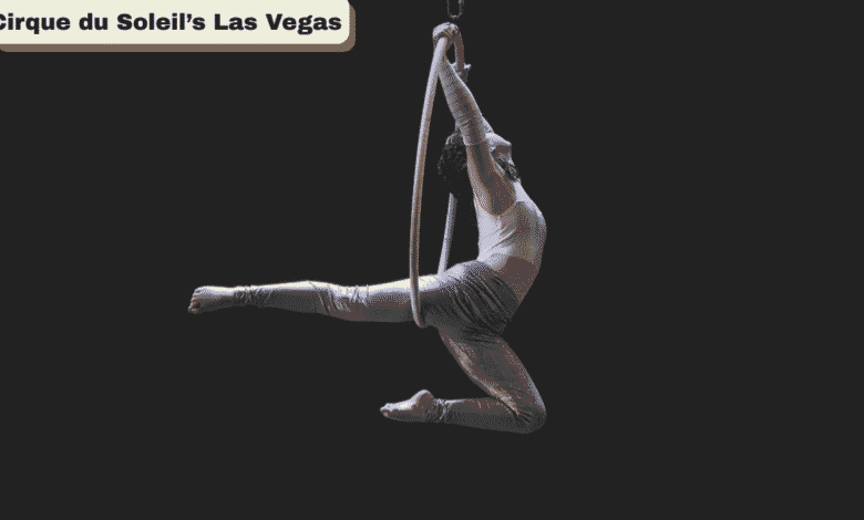 Cirque du Soleil’s Las Vegas
