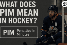 PIM in Hockey