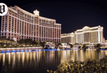 Staycation Las Vegas