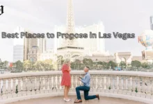 Best Places to Propose in Las Vegas