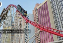 Big Apple Coaster Las Vegas