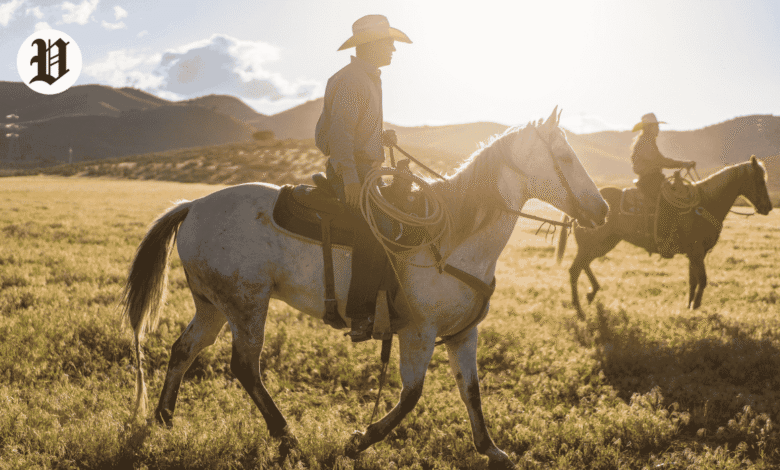 Horseback Riding Las Vegas