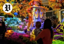 Family exploring a colorful indoor play place with glowing decorations and fantasy-themed displays.