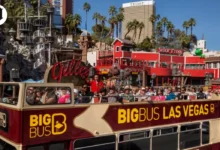 Las Vegas Bus Tour