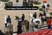 Las Vegas National Horse Show