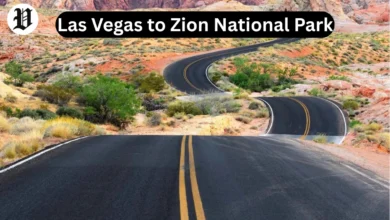 Las Vegas to Zion National Park road trip scenic desert highway.
