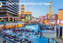 Planet Hollywood Pool Las Vegas